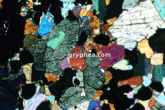 Eclogite LPA x10 - gryphea.org